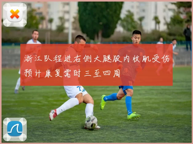 浙江队程进右侧大腿股内收肌受伤预计康复需时三至四周
